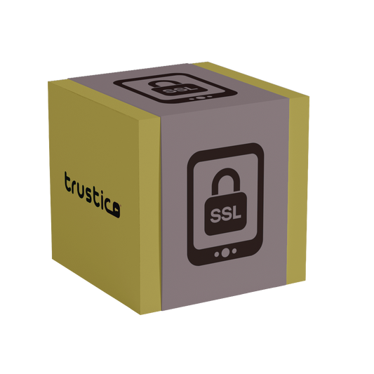 An image of a yellow and gray box displays a padlock icon labeled “SSL” on one side and the Trustico CA brand name on another, symbolizing internet security and SSL certificates like the Trustico® CaaS DV + Wildcard + Multi Domain.